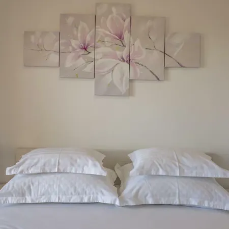 Lana * 마카르스카